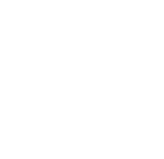 Github icon